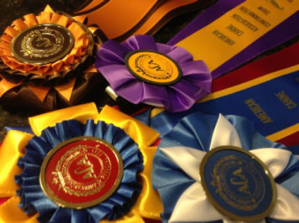 Angie Mcduffee Breeder Dog Show Ribbons