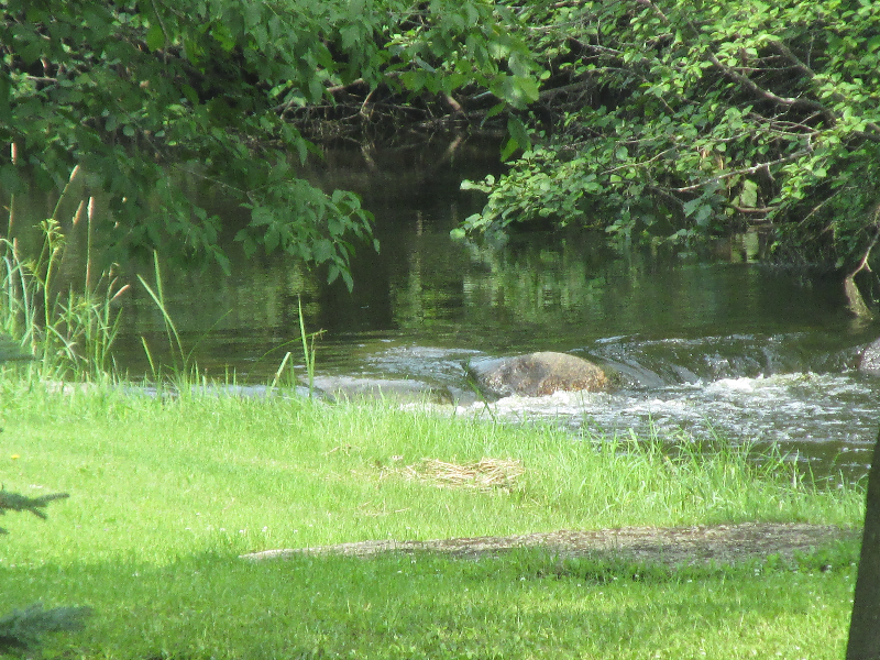 clearwater, clear, water, kennels, cushing, mn, pic9, minnesota